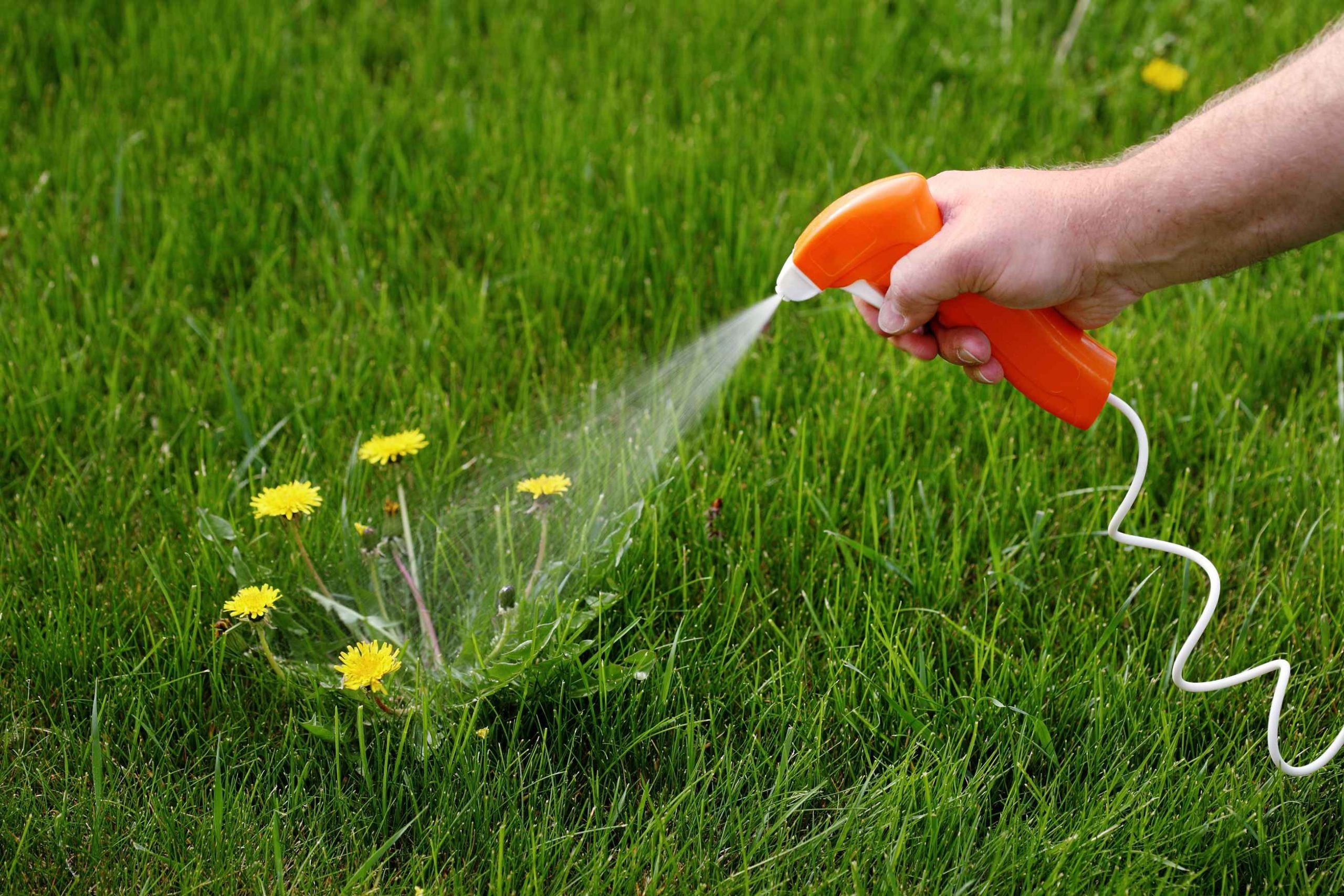 Examining The Dangers of Garden and Lawn Care Chemicals